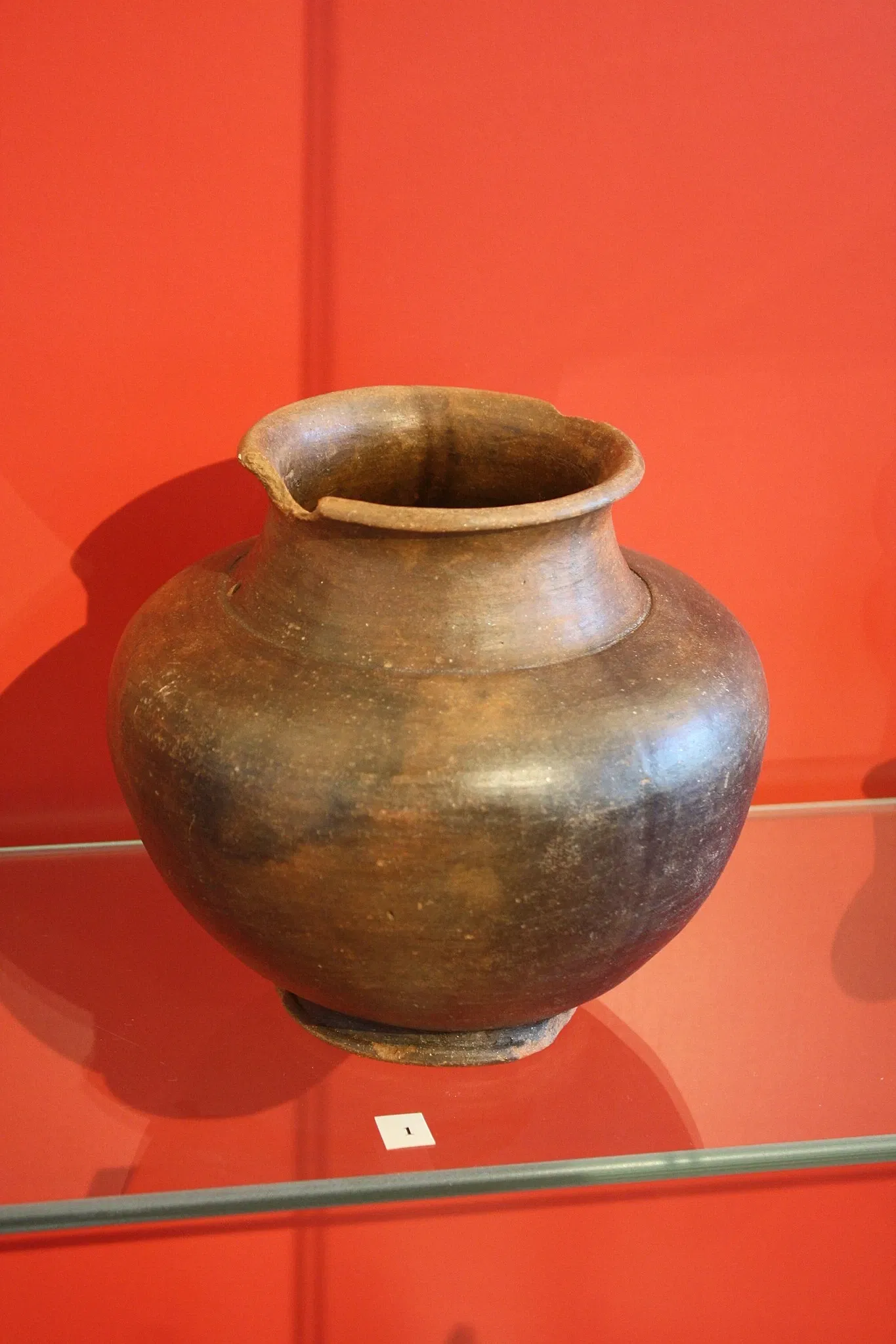 Museo Civico Guido Sutermeister