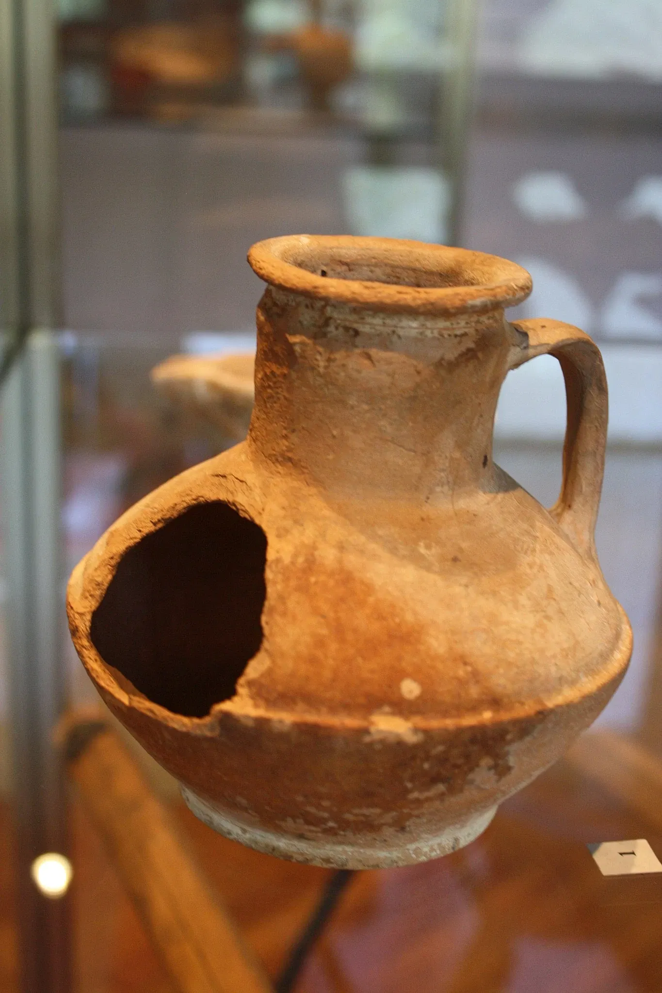 Museo Civico Guido Sutermeister