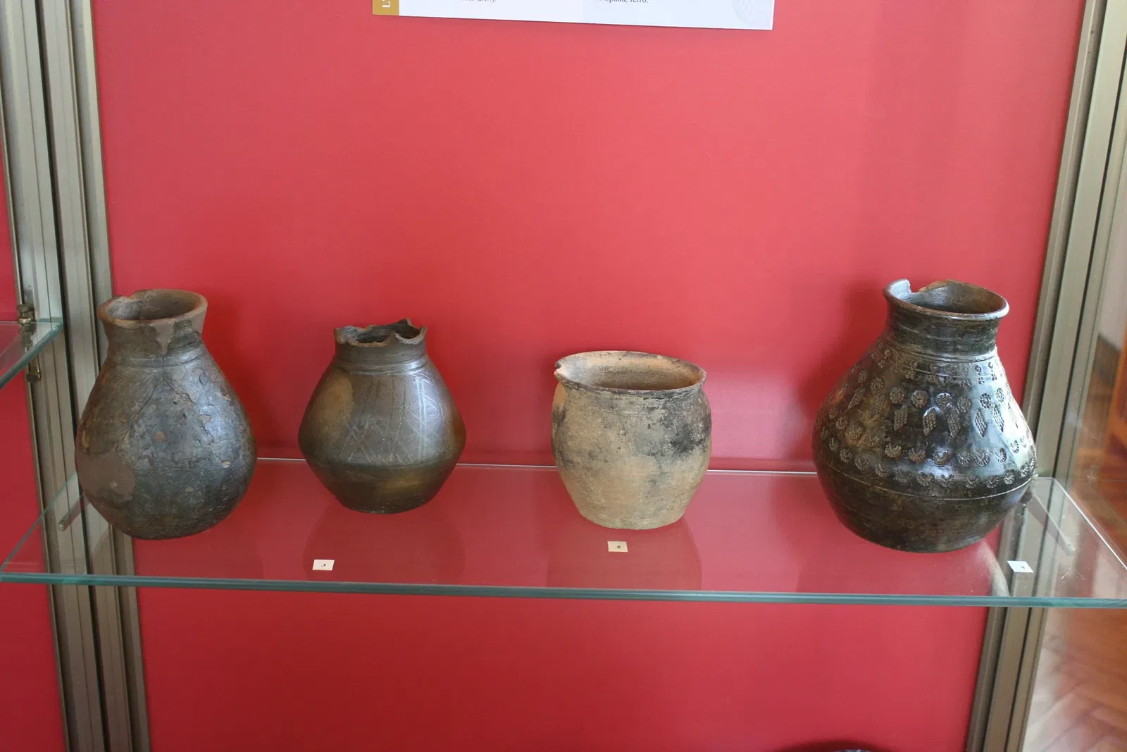 Museo Civico Guido Sutermeister