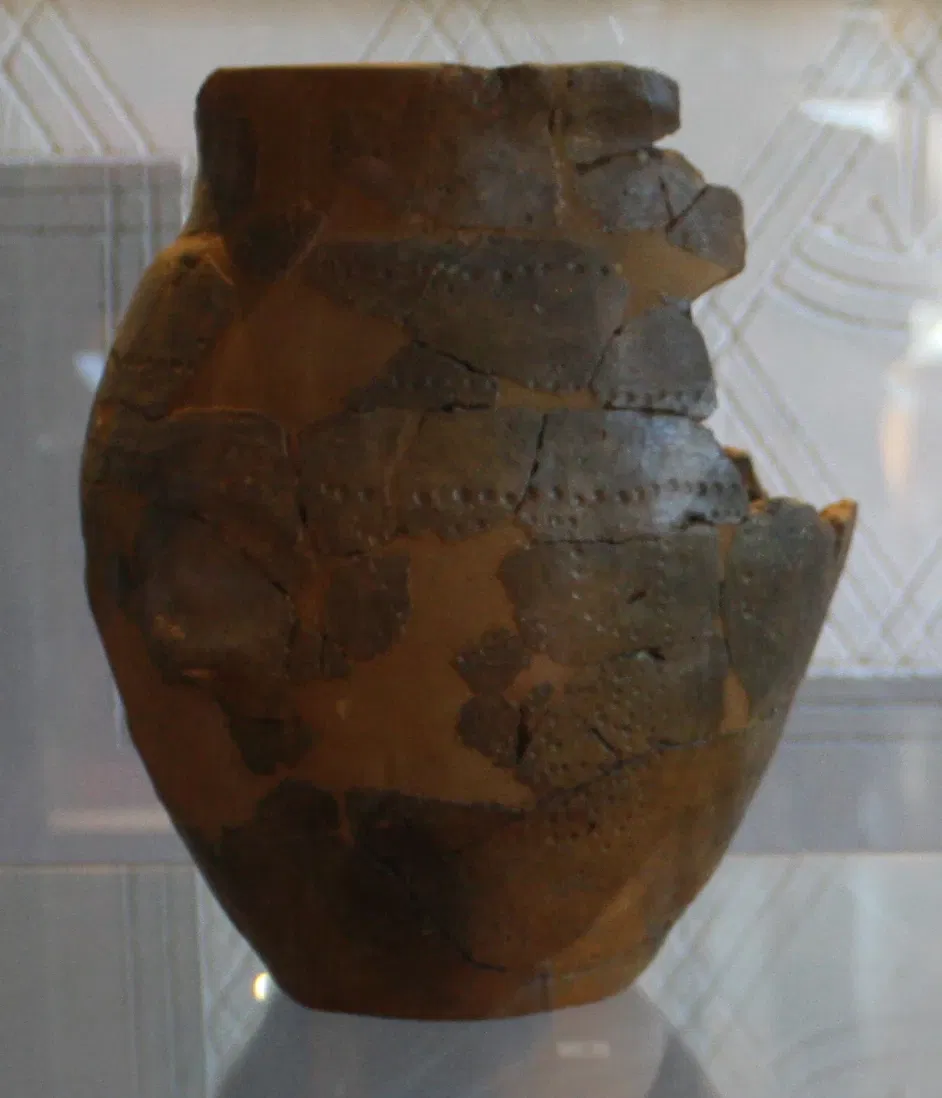 Museo Civico Guido Sutermeister