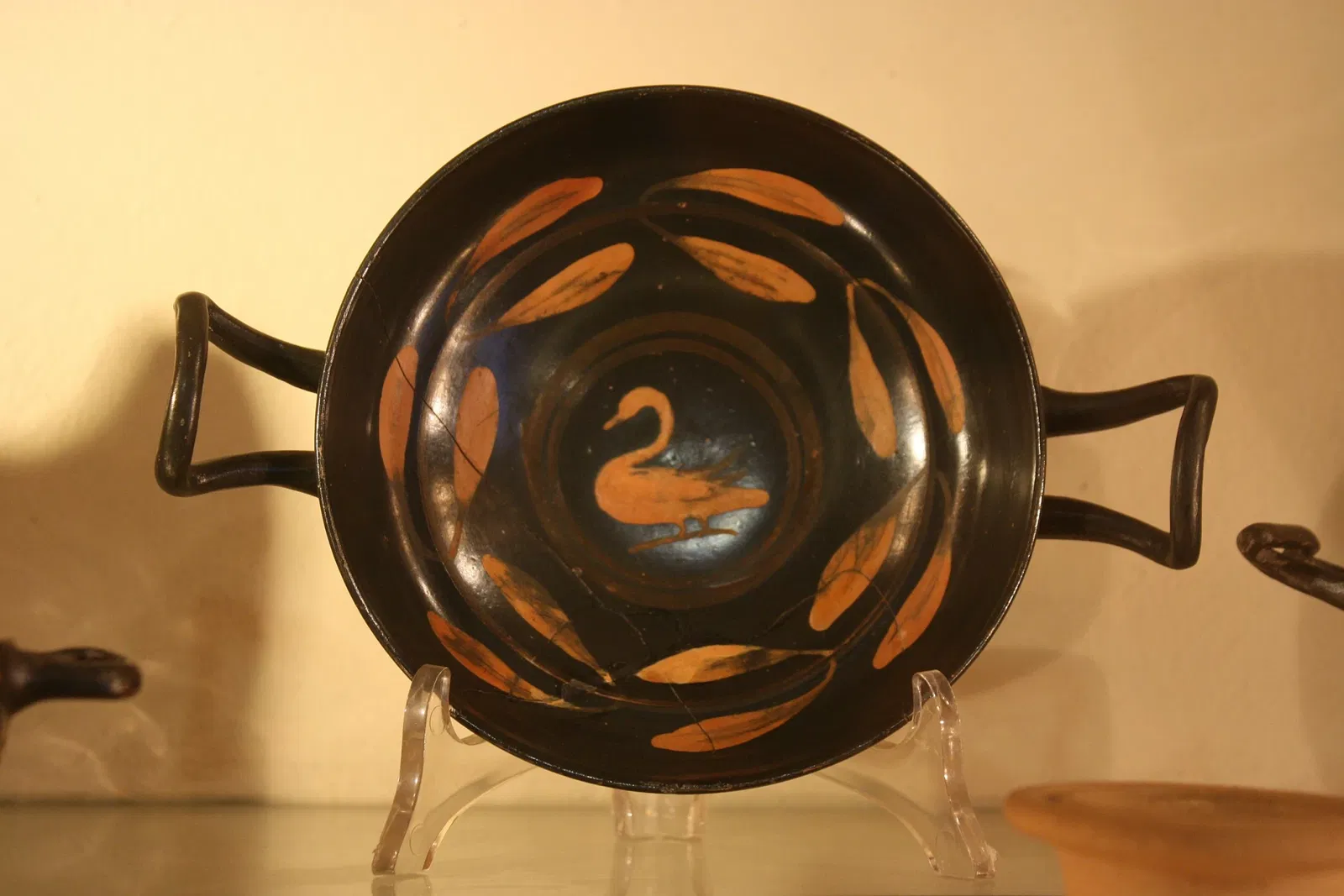 Museo Civico Guido Sutermeister