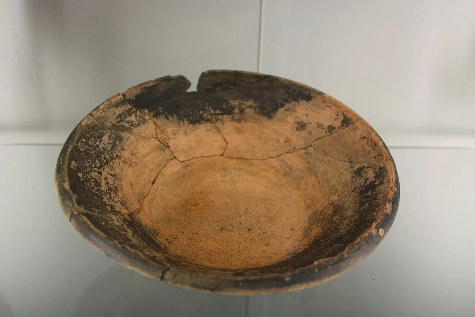 Museo Civico Guido Sutermeister