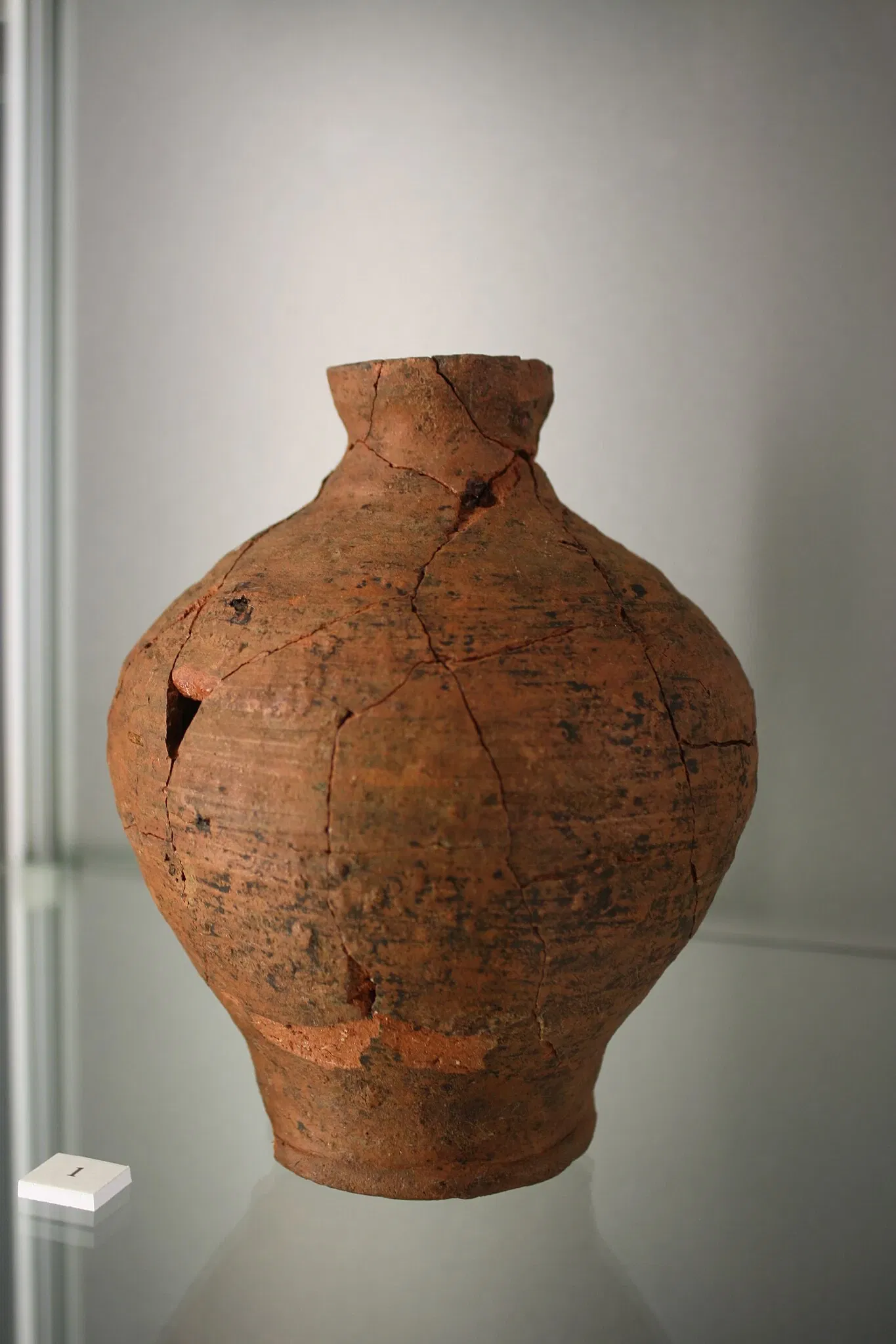 Museo Civico Guido Sutermeister