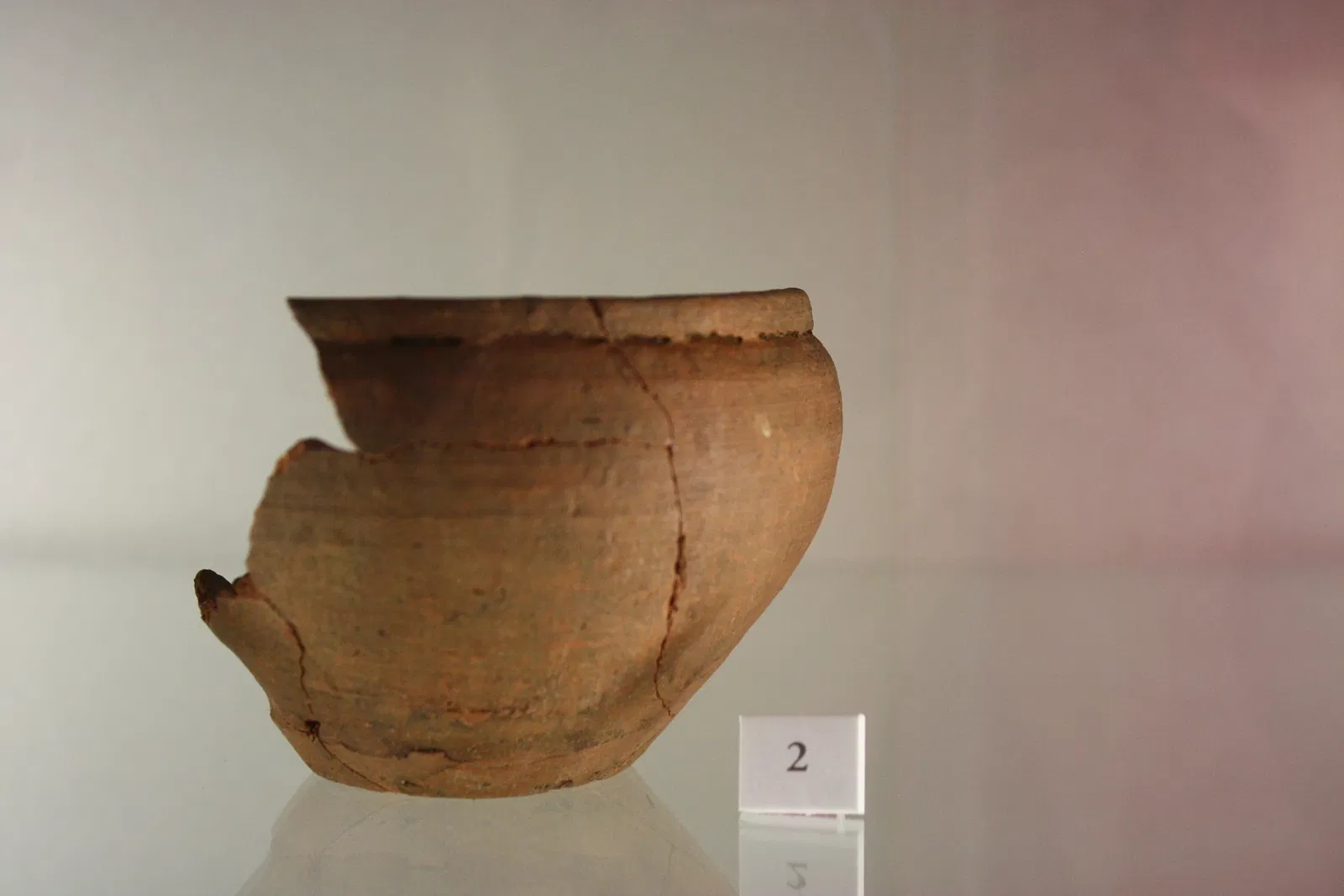 Museo Civico Guido Sutermeister