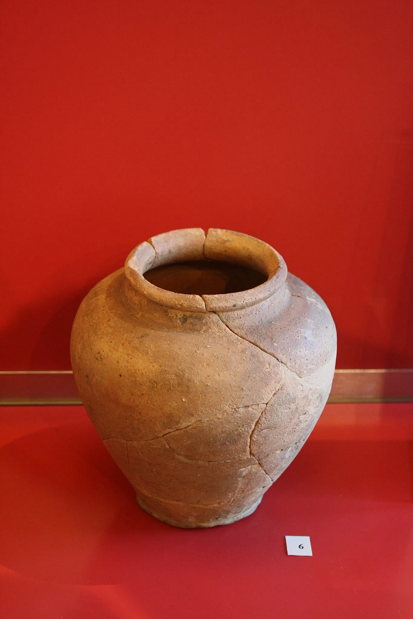 Museo Civico Guido Sutermeister