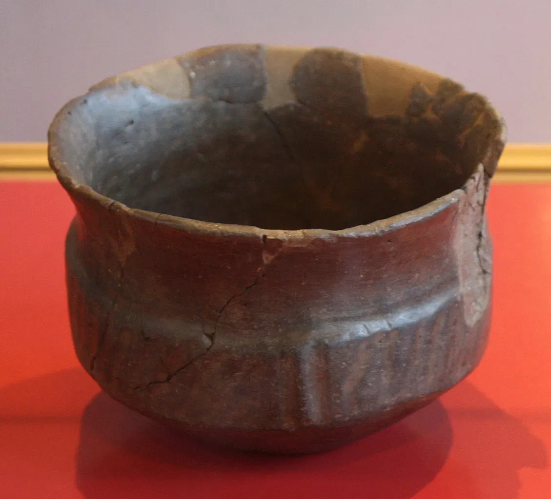 Museo Civico Guido Sutermeister