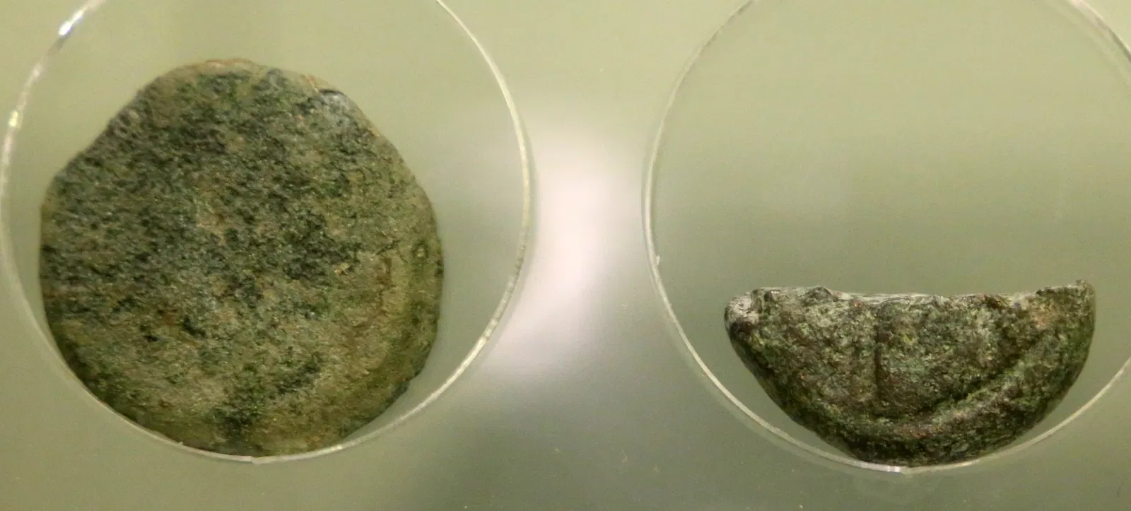 Archaeological Museum of Sienese Chianti