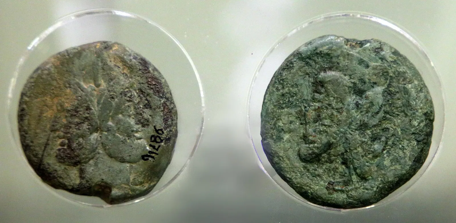 Archaeological Museum of Sienese Chianti