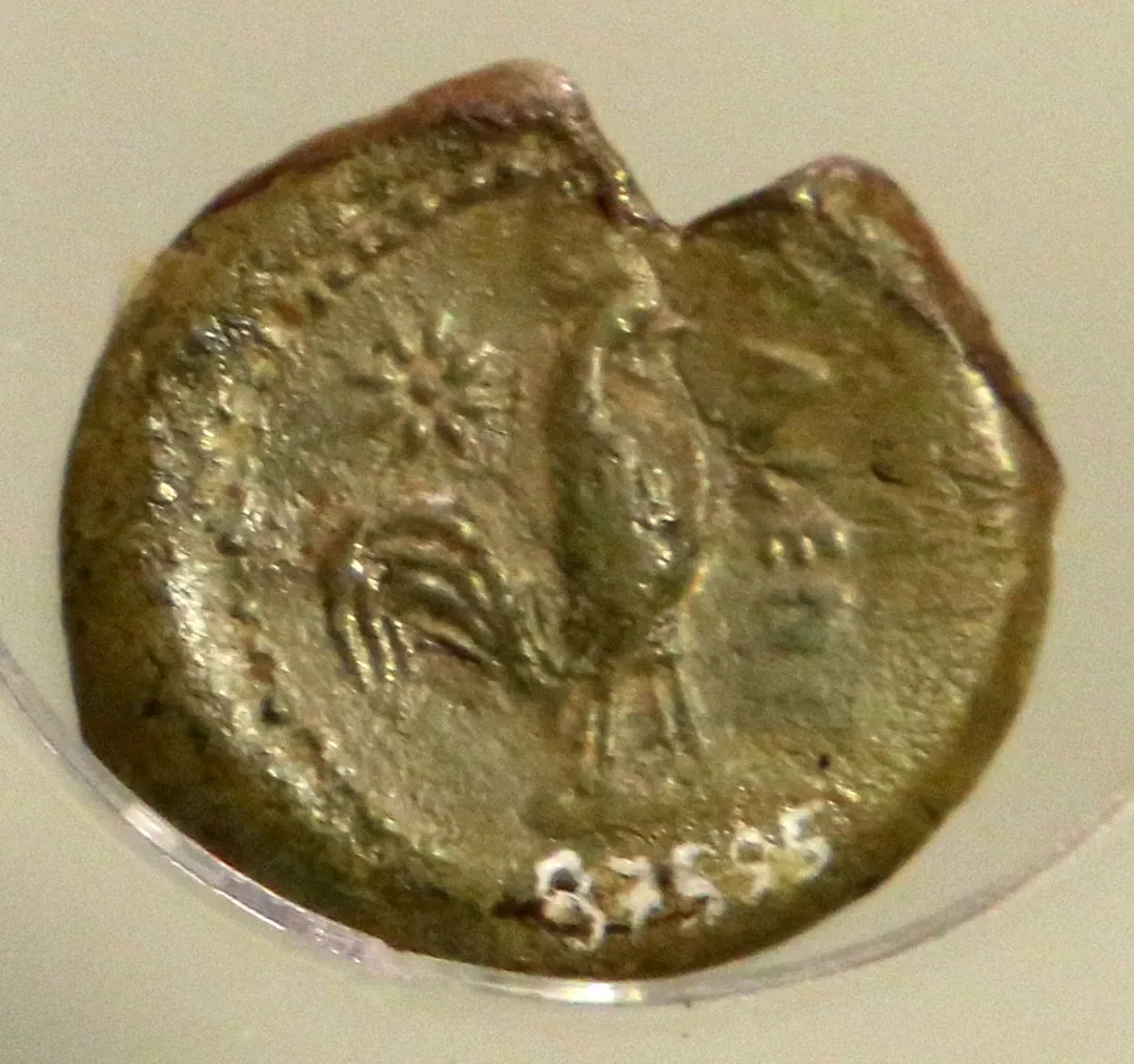 Museo Archeologico del Chianti Senese