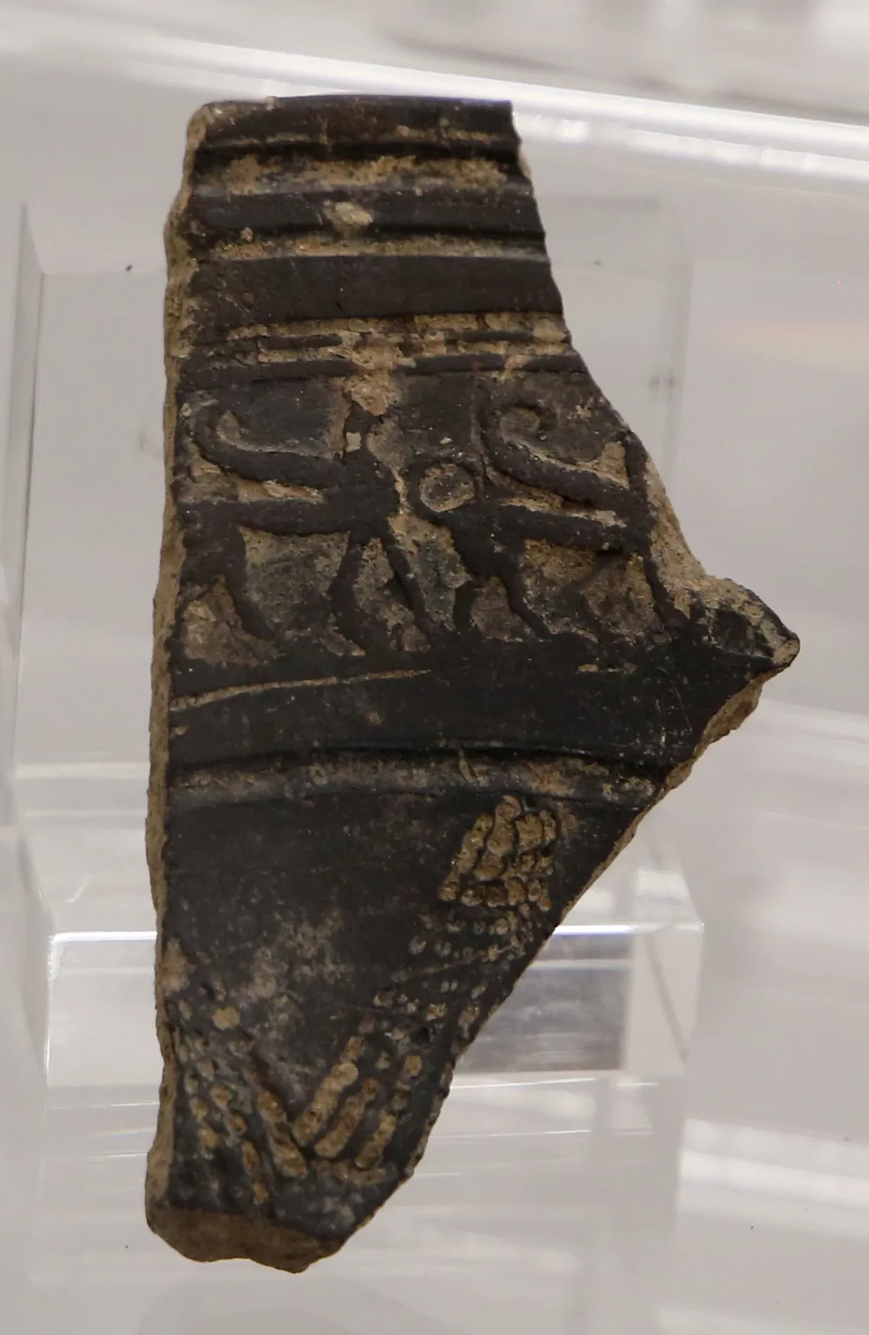 Museo Archeologico del Chianti Senese