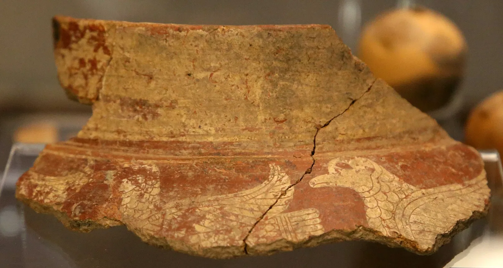 Museo Archeologico del Chianti Senese