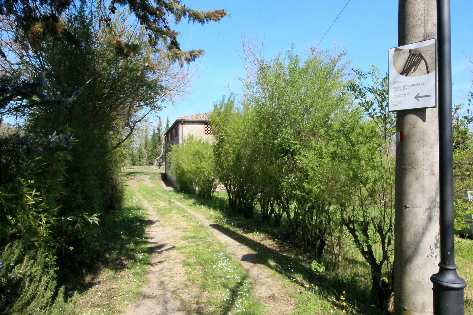 Ethnographic Museum of the Woods
