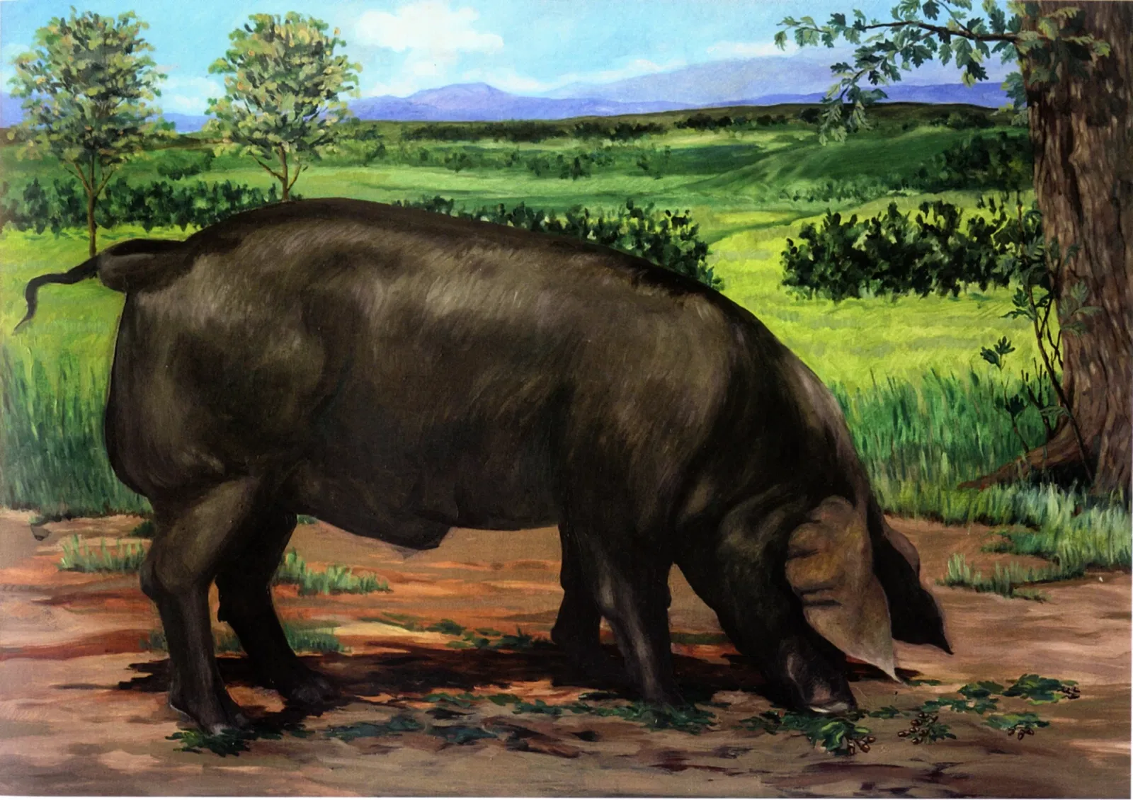 Museo del Prosciutto di Parma