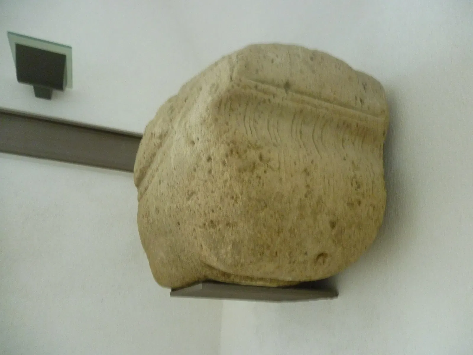 Museo Archeologico dei Campi Flegrei