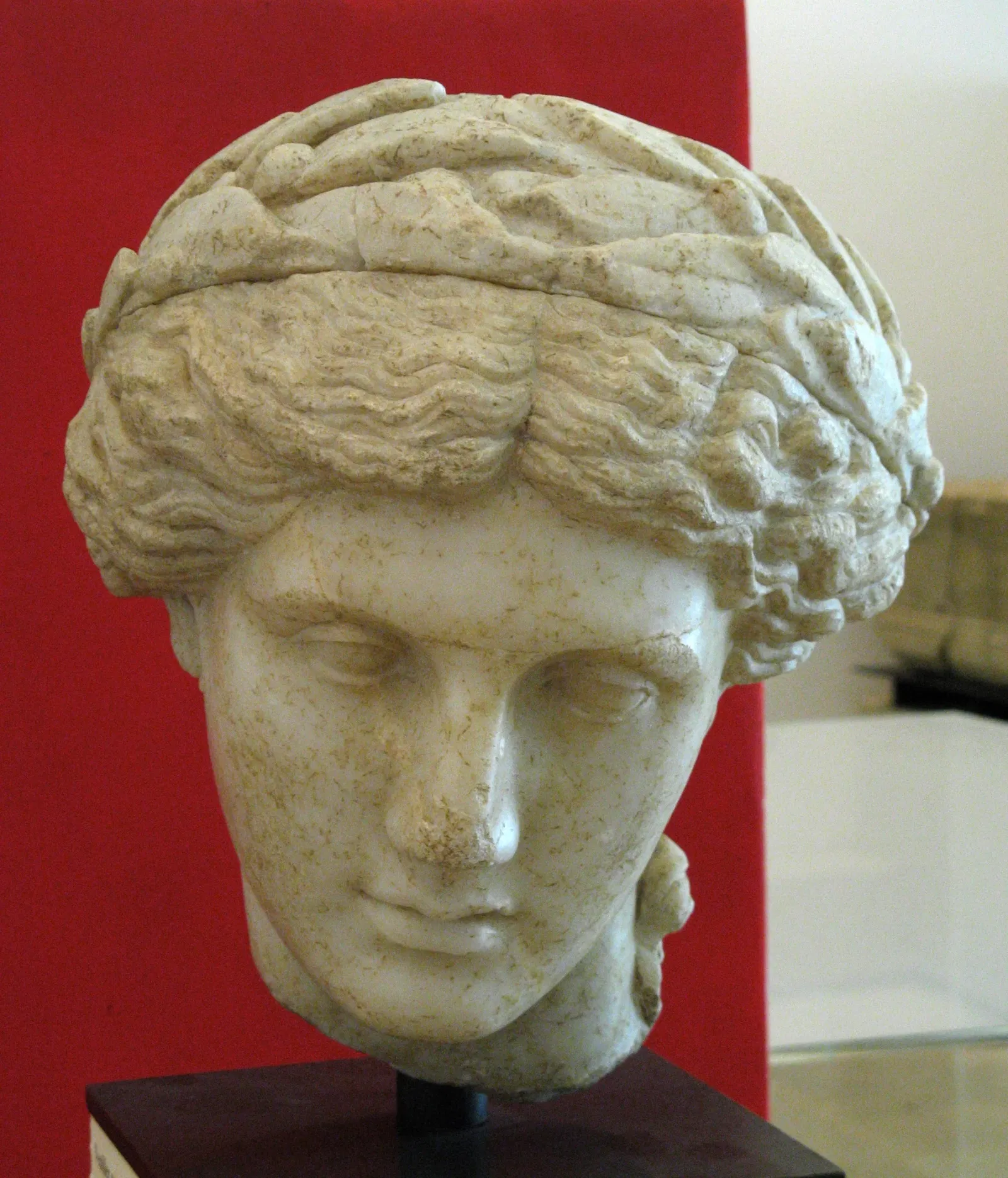 Musée Archéologique Théo Desplans