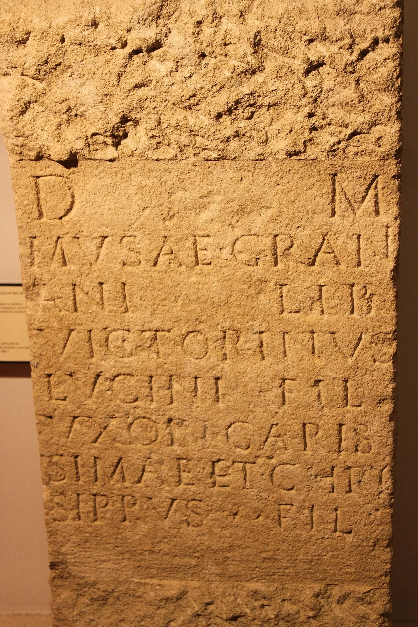 Musée Archéologique Théo Desplans