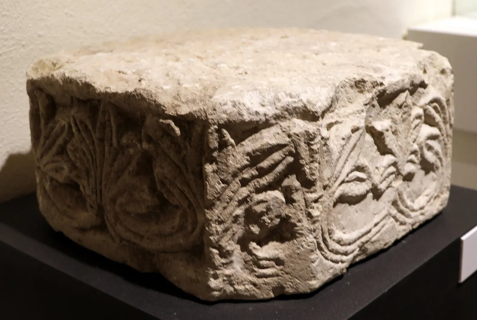 Museo Diocesano e del Codex