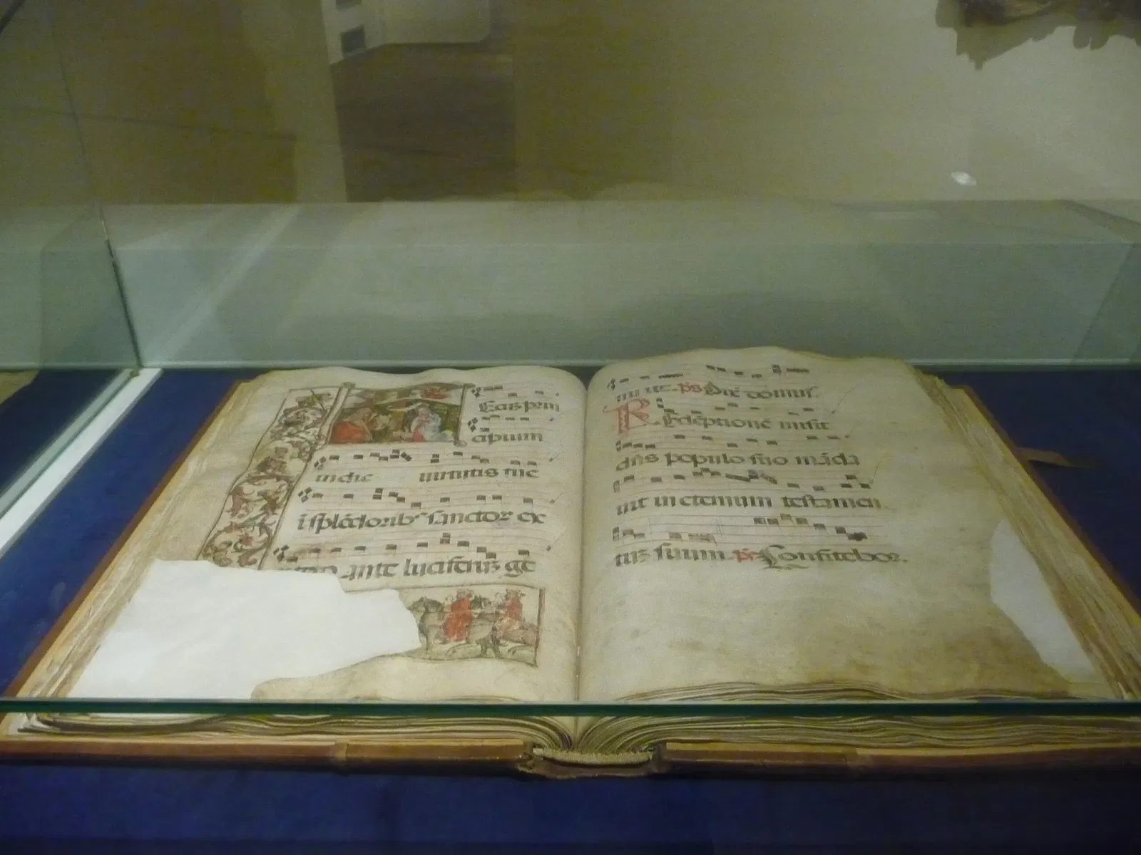 Museo Diocesano e del Codex