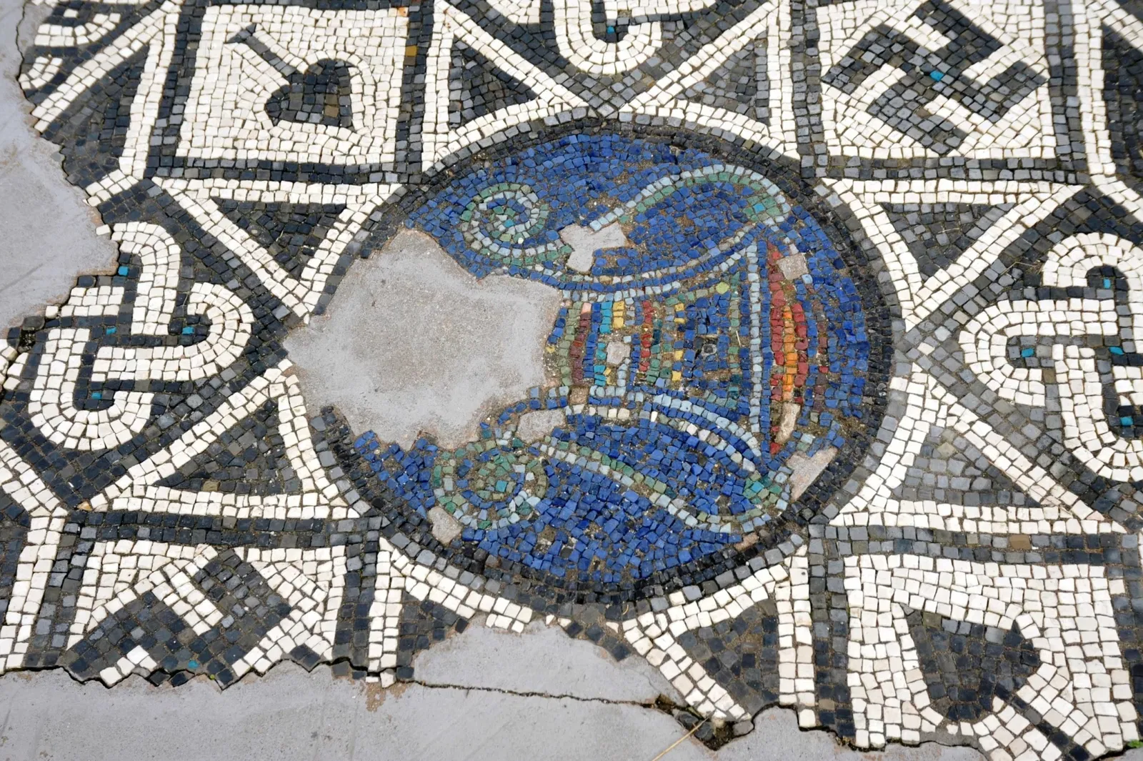 Museo Archeologico Nazionale e Area Archeologica di Altino