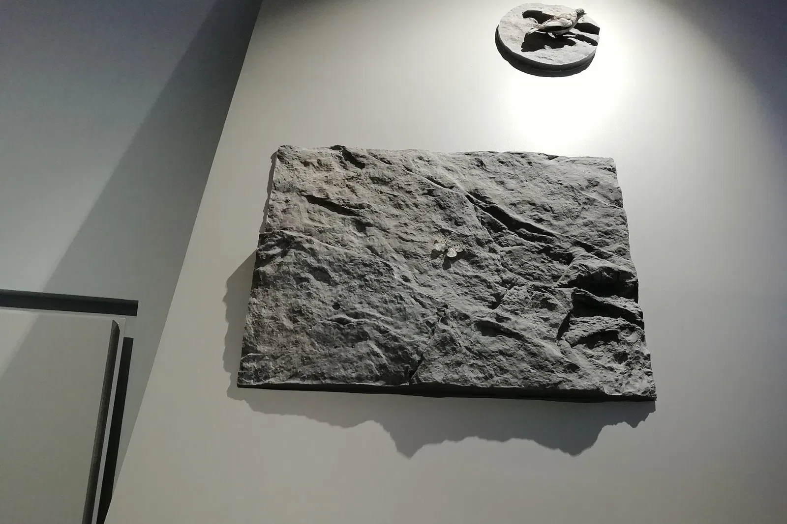 Museo Regionale di Scienze Naturali Efisio Noussan - Castello di Saint-Pierre