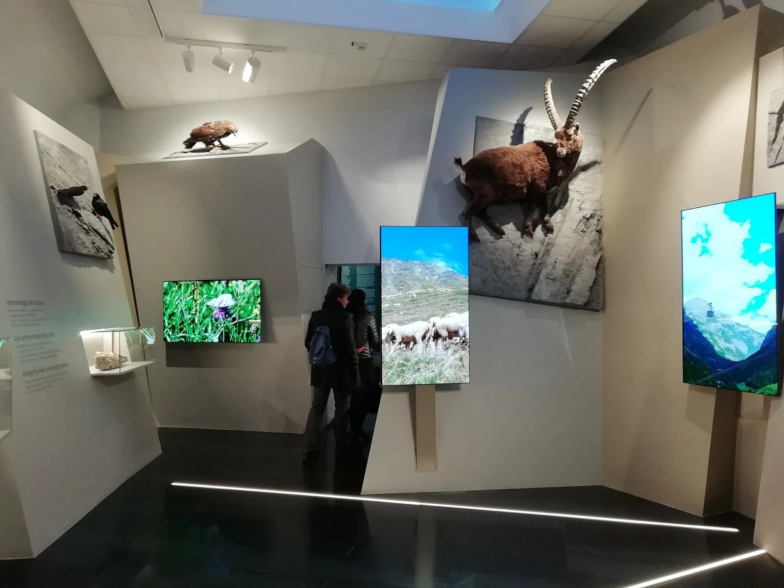 Museo Regionale di Scienze Naturali Efisio Noussan - Castello di Saint-Pierre