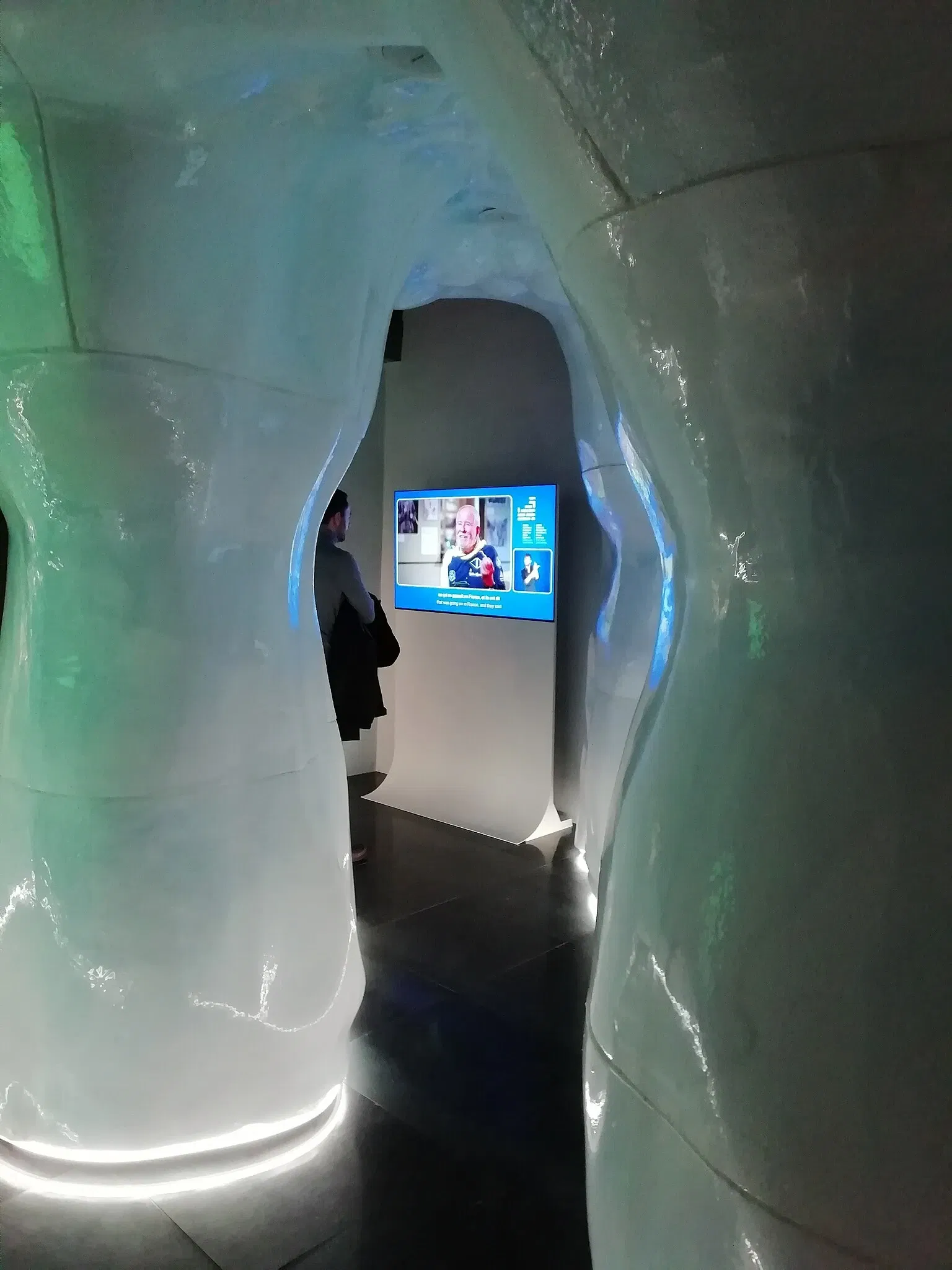 Museo Regionale di Scienze Naturali Efisio Noussan - Castello di Saint-Pierre