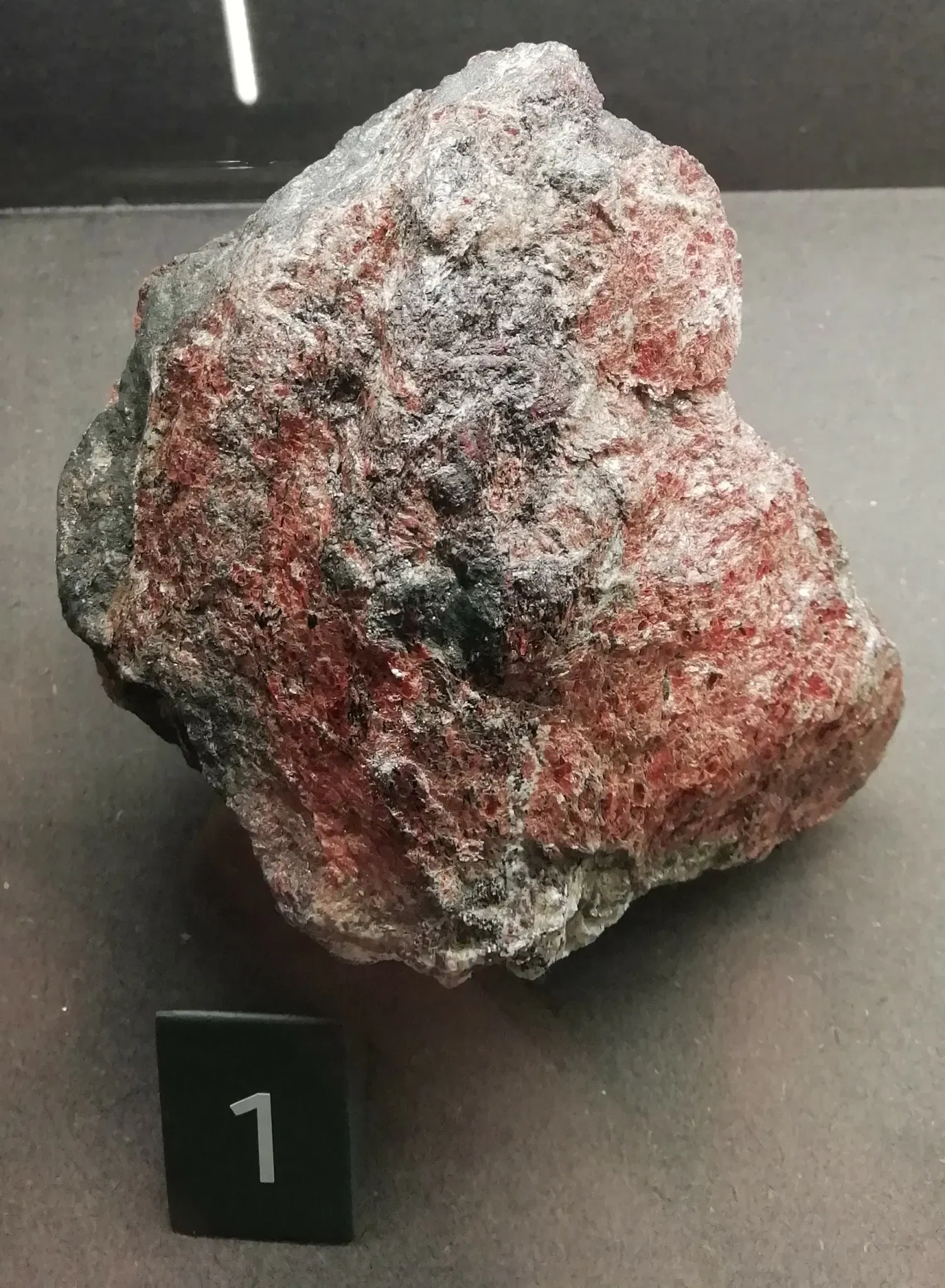 Museo Regionale di Scienze Naturali Efisio Noussan - Castello di Saint-Pierre