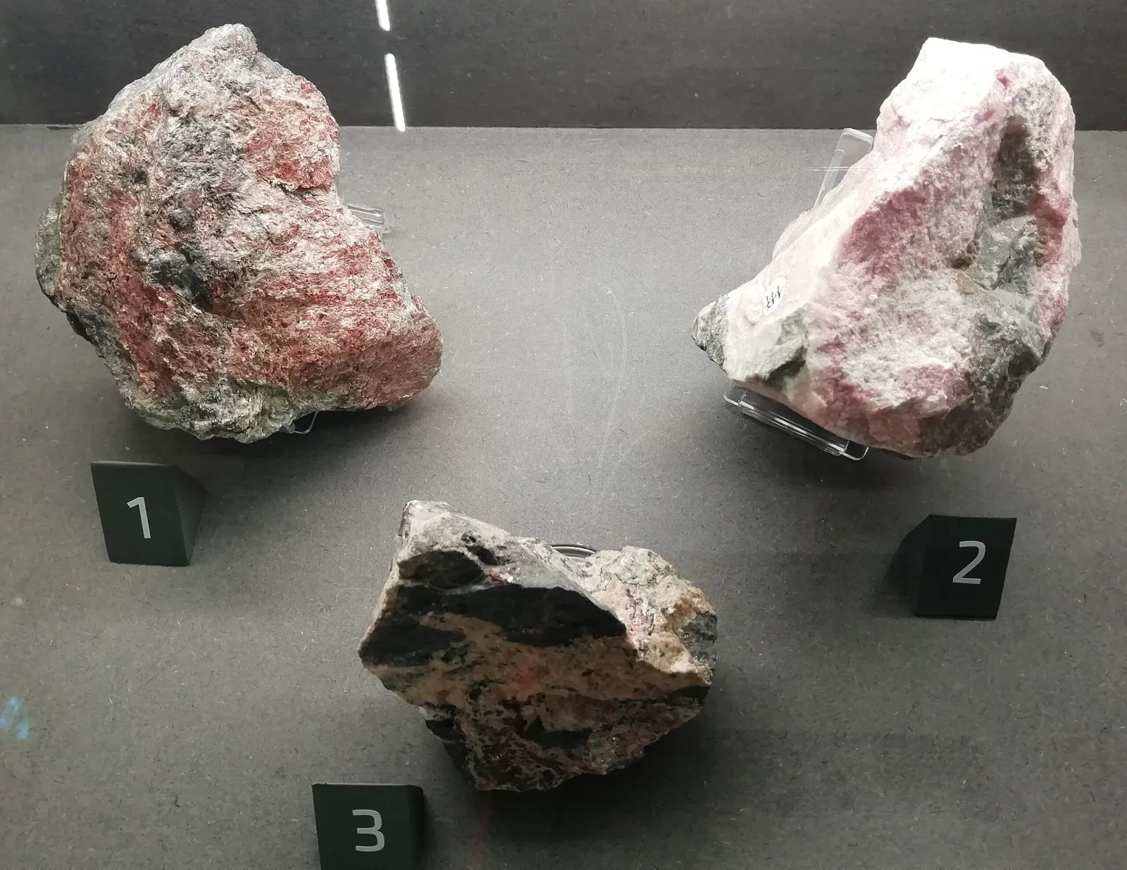 Museo Regionale di Scienze Naturali Efisio Noussan - Castello di Saint-Pierre