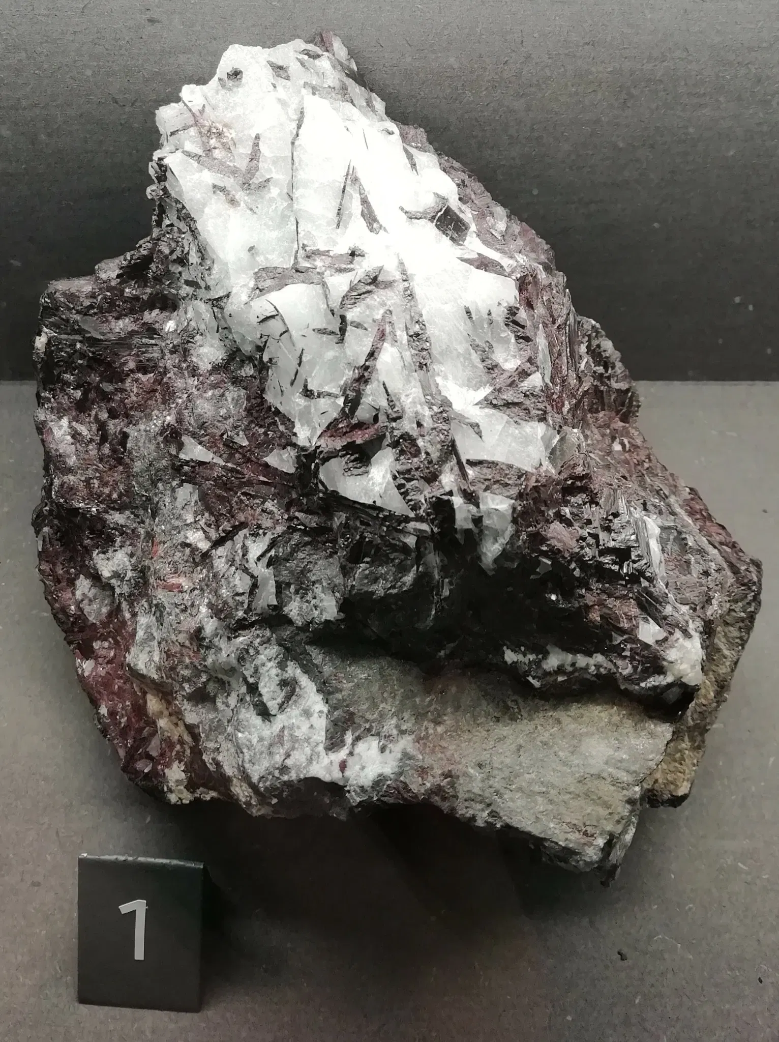 Museo Regionale di Scienze Naturali Efisio Noussan - Castello di Saint-Pierre