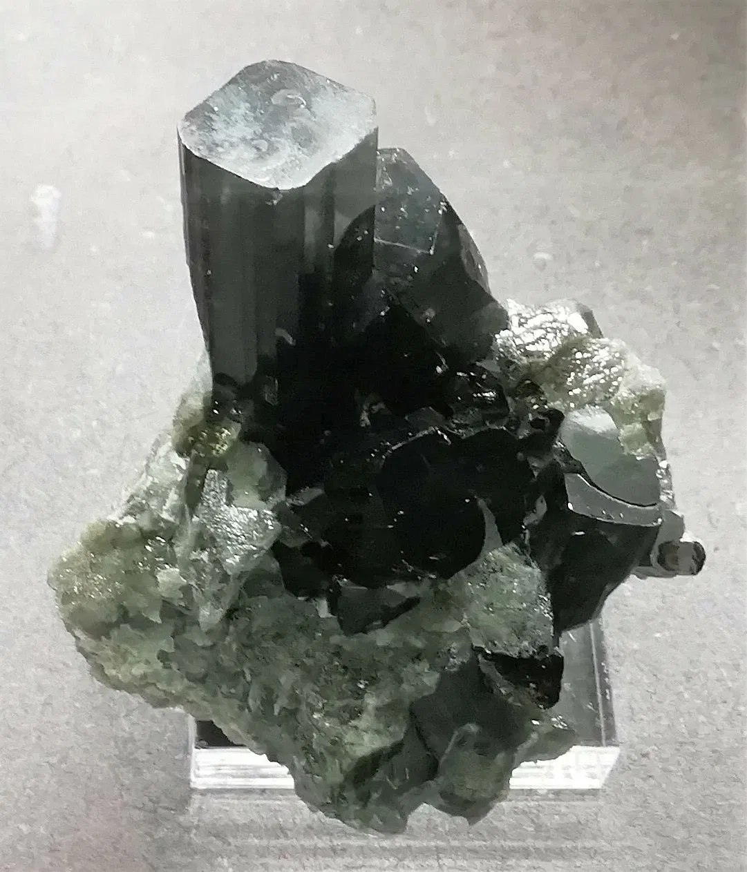 Museo Regionale di Scienze Naturali Efisio Noussan - Castello di Saint-Pierre