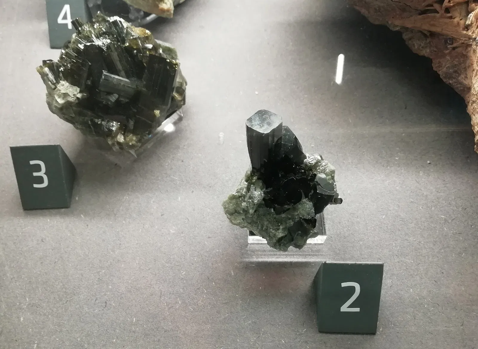 Museo Regionale di Scienze Naturali Efisio Noussan - Castello di Saint-Pierre