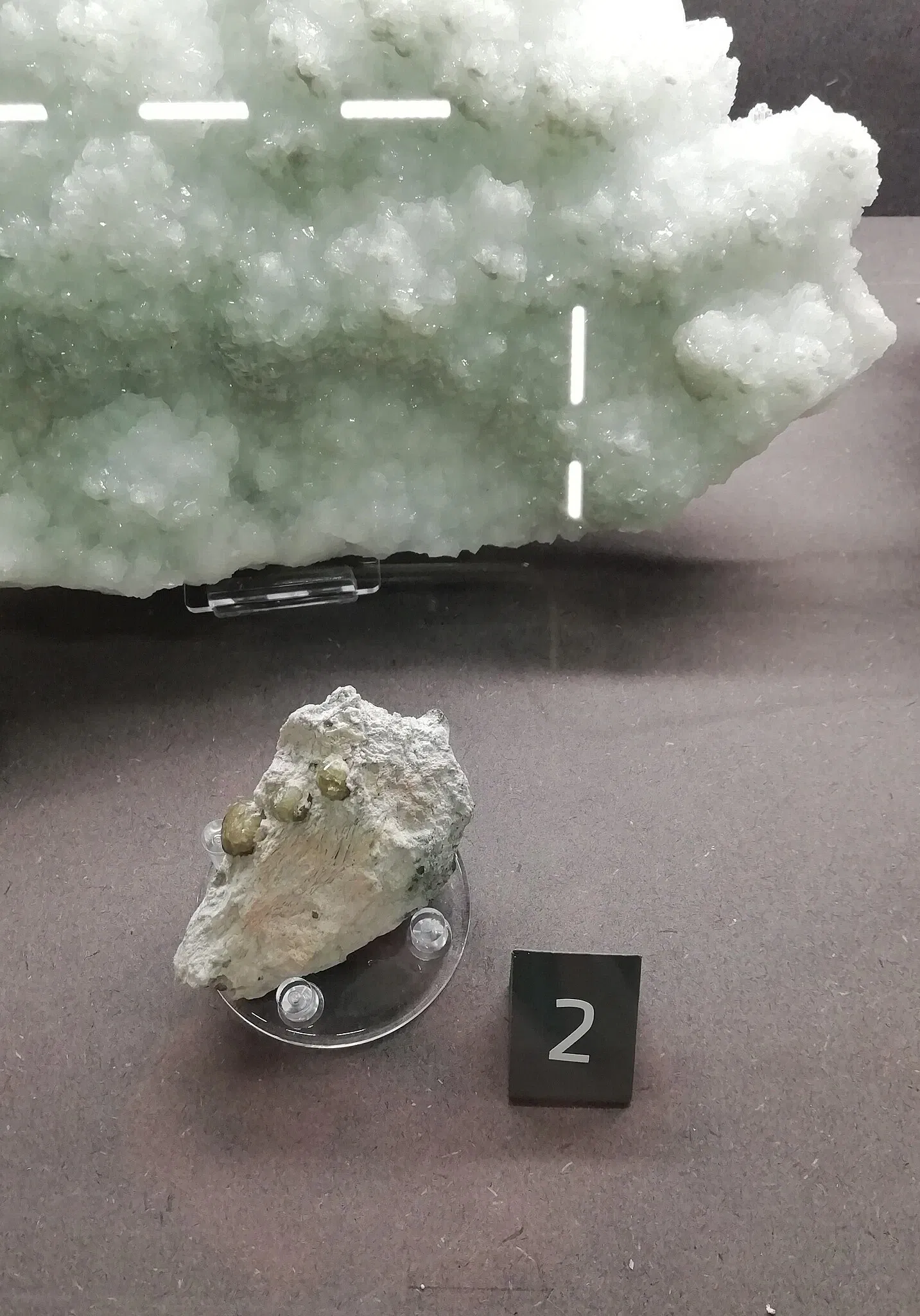 Museo Regionale di Scienze Naturali Efisio Noussan - Castello di Saint-Pierre