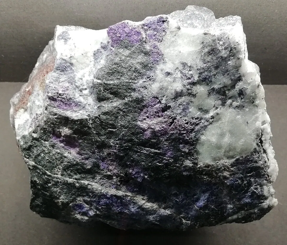 Museo Regionale di Scienze Naturali Efisio Noussan - Castello di Saint-Pierre