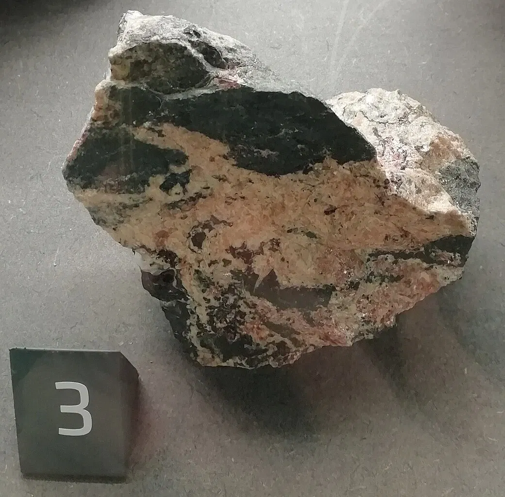 Museo Regionale di Scienze Naturali Efisio Noussan - Castello di Saint-Pierre