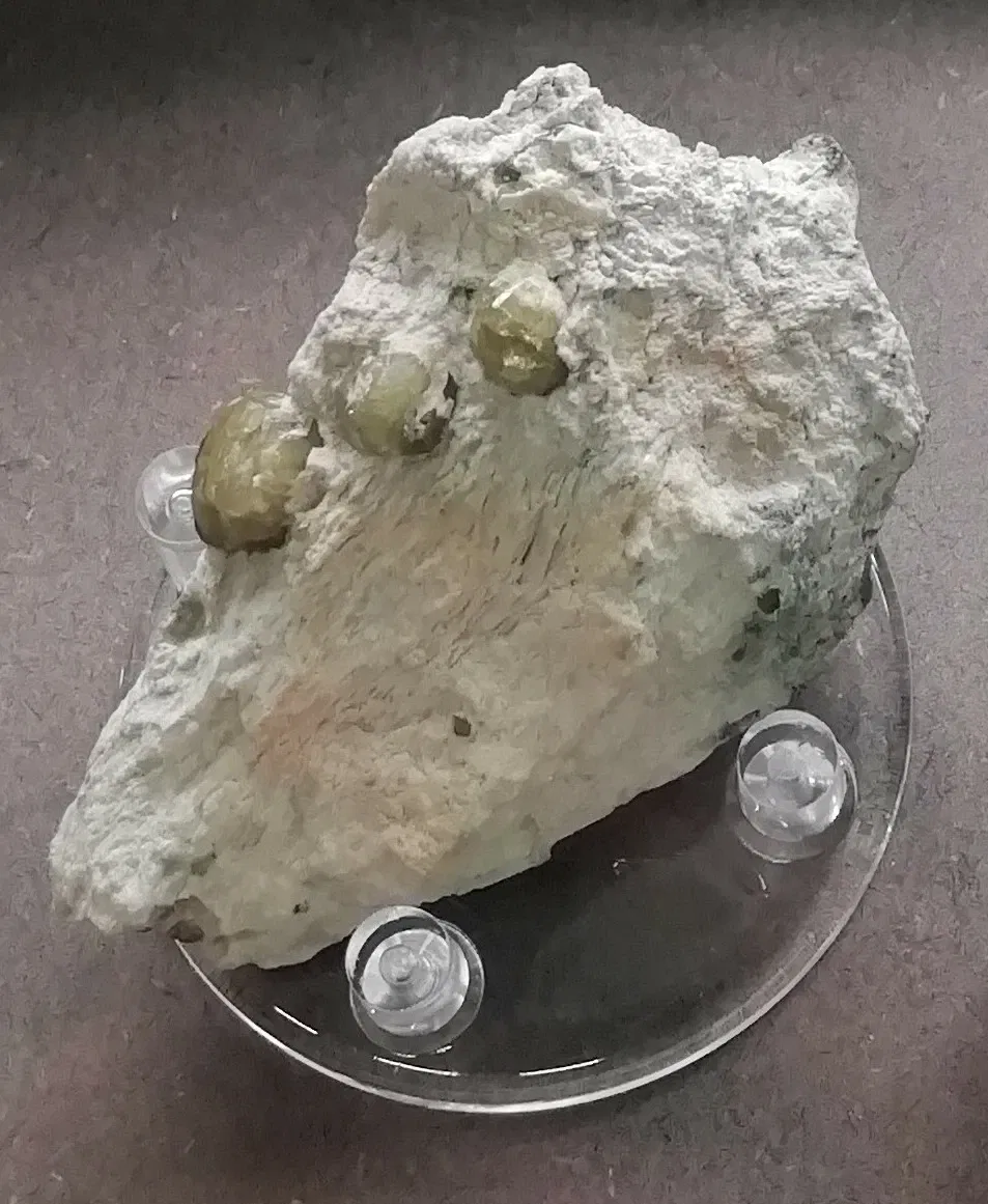 Museo Regionale di Scienze Naturali Efisio Noussan - Castello di Saint-Pierre