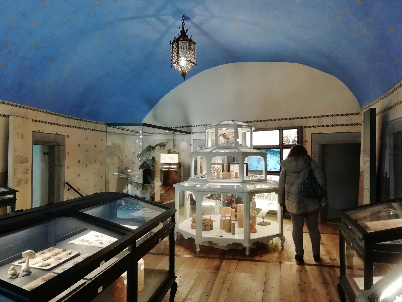 Museo Regionale di Scienze Naturali Efisio Noussan - Castello di Saint-Pierre