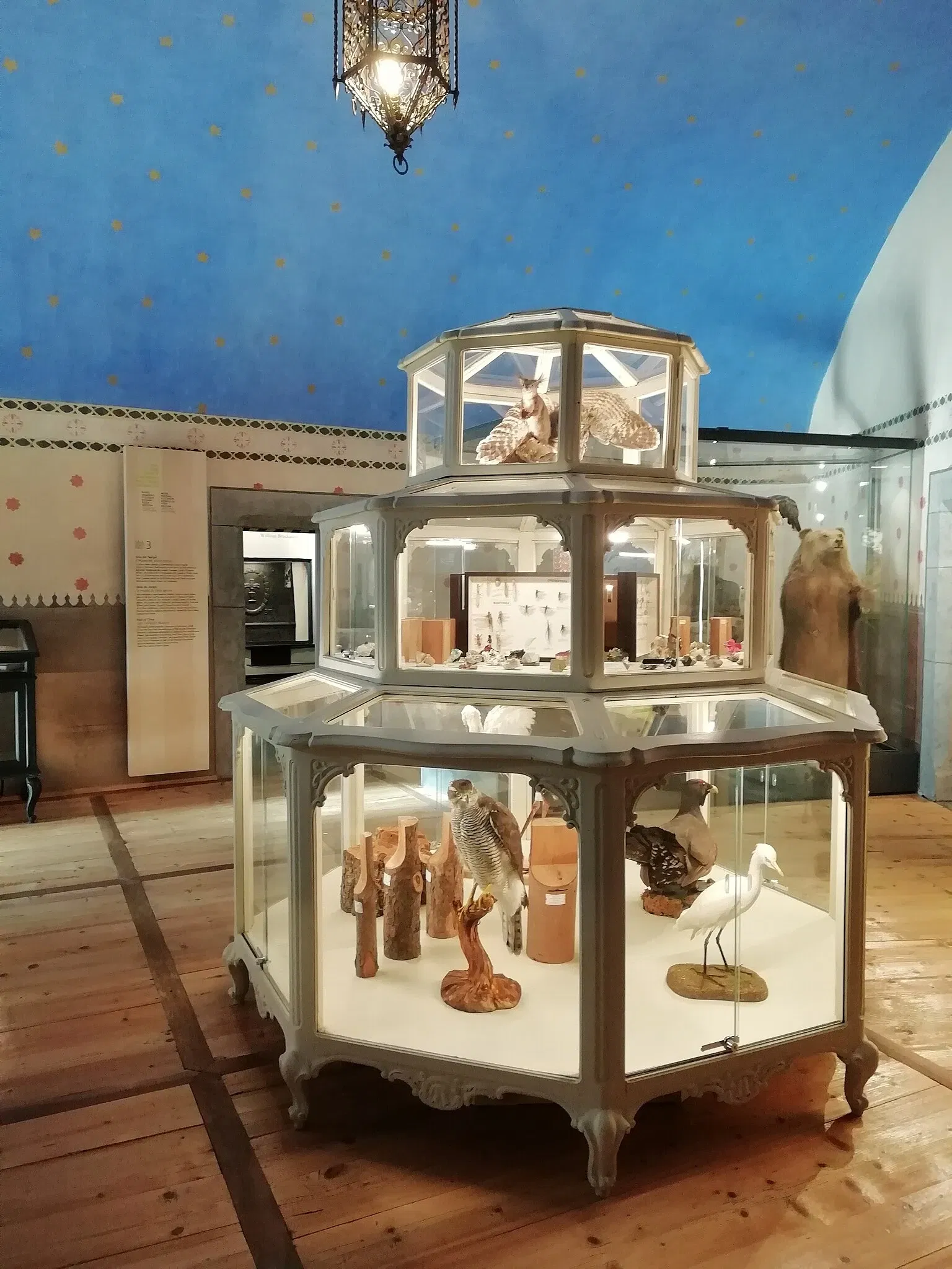 Museo Regionale di Scienze Naturali Efisio Noussan - Castello di Saint-Pierre