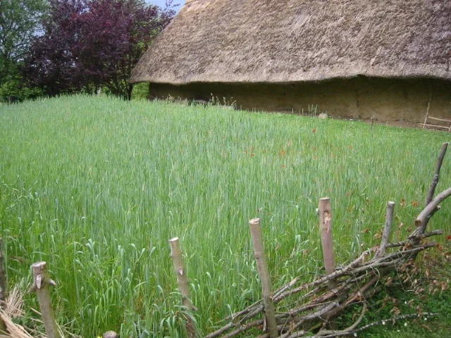 Archéodrome de Beaune