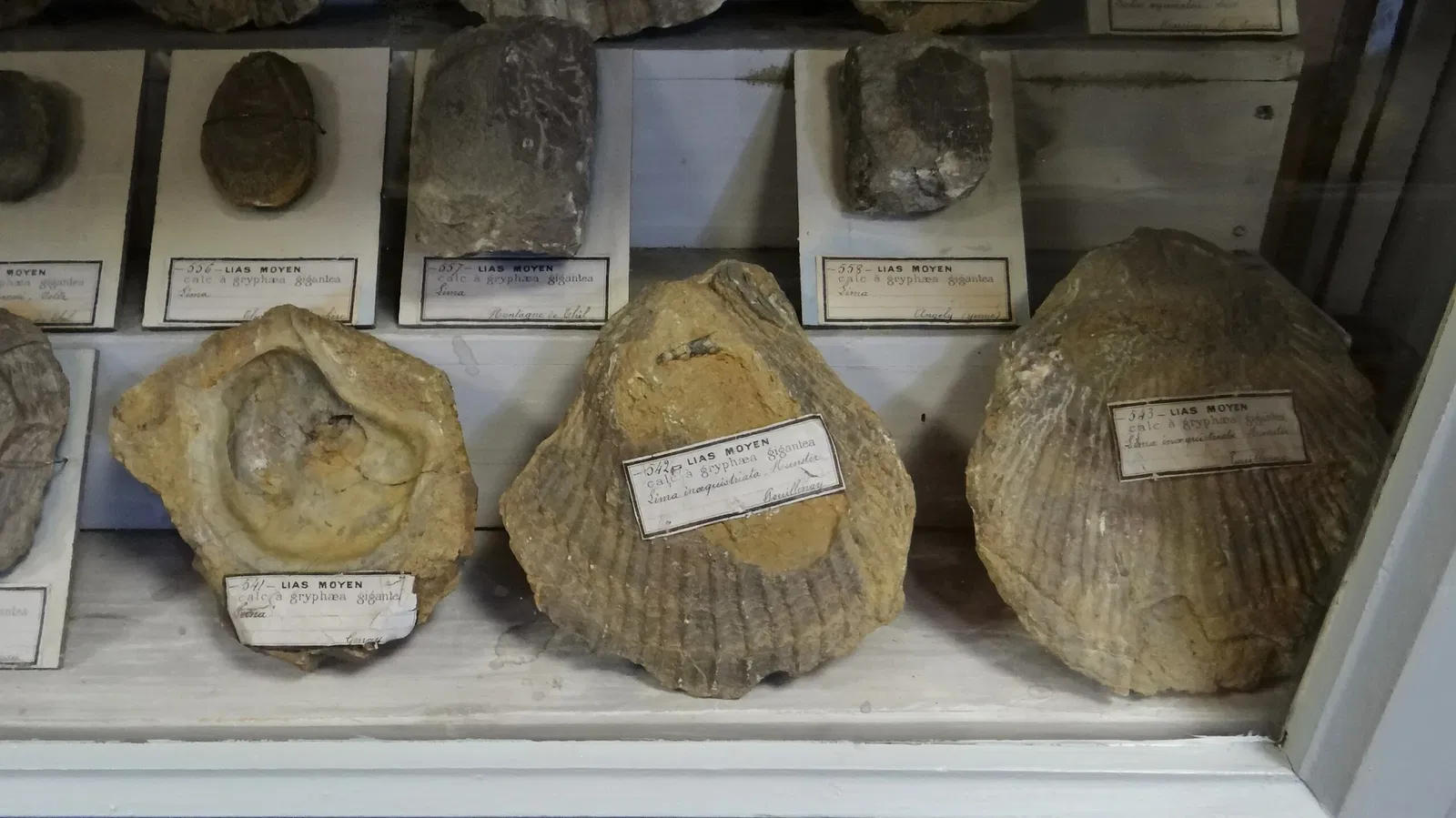 Municipal Museum of Semur-en-Auxois