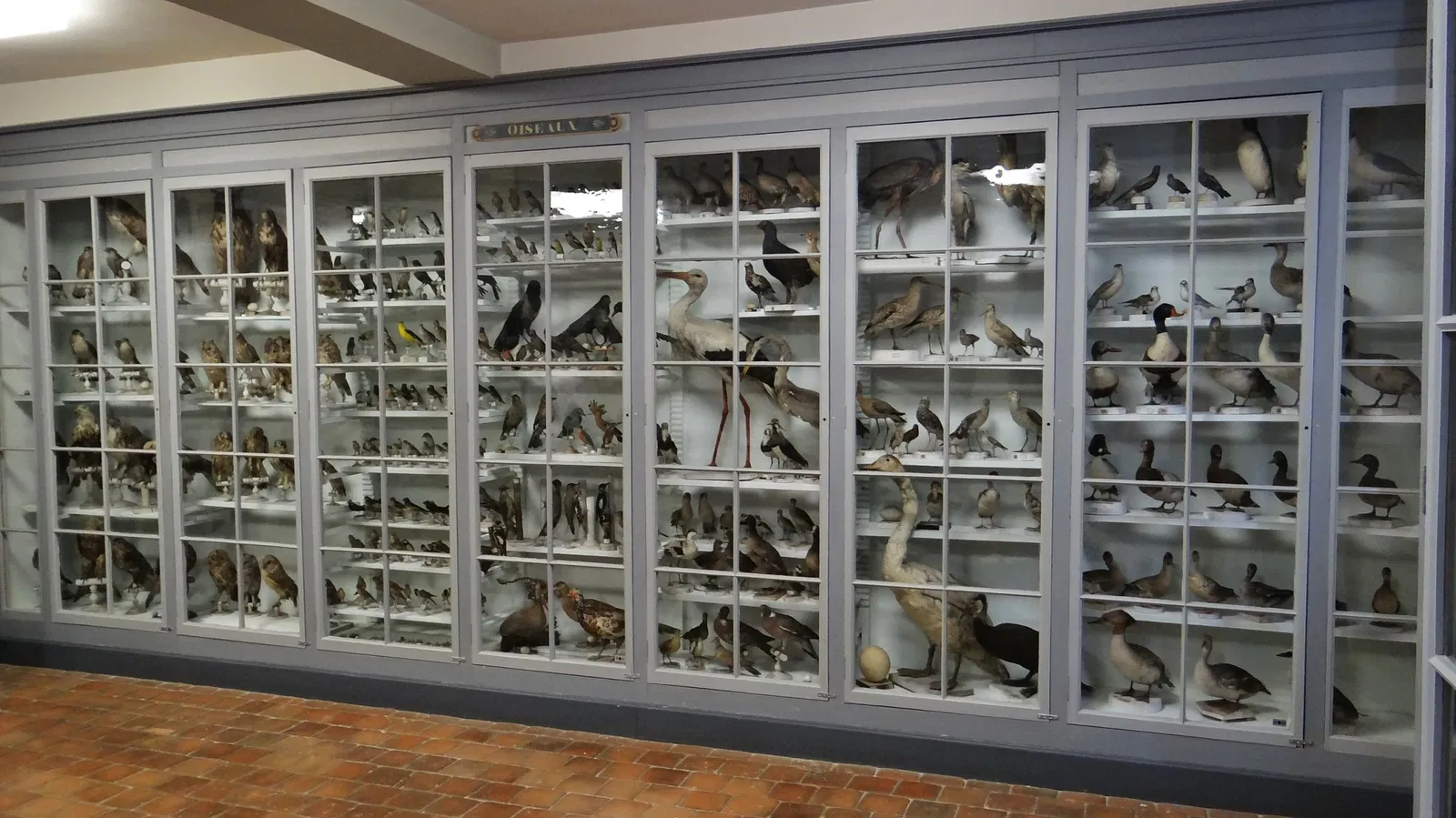 Municipal Museum of Semur-en-Auxois