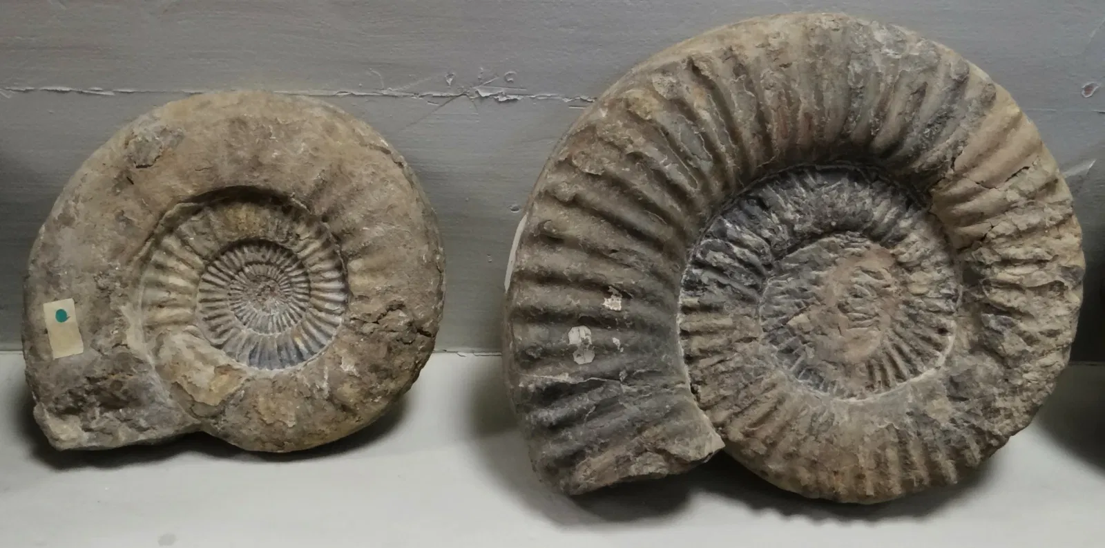 Municipal Museum of Semur-en-Auxois