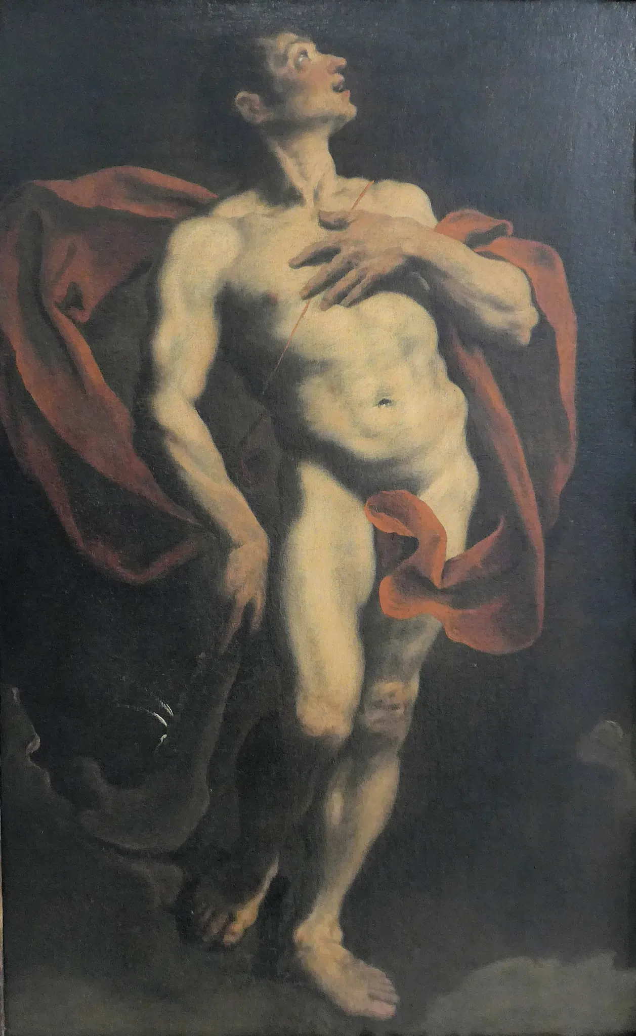 MAST Castel Goffredo - Museo della Città