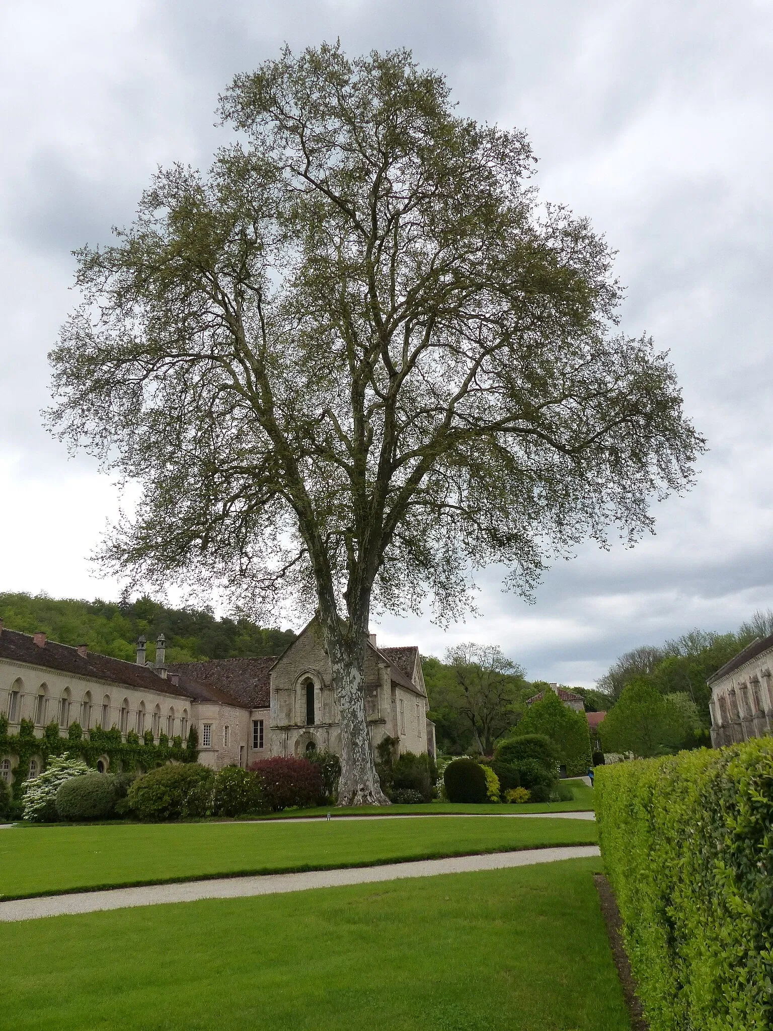 Fontenay Abbey