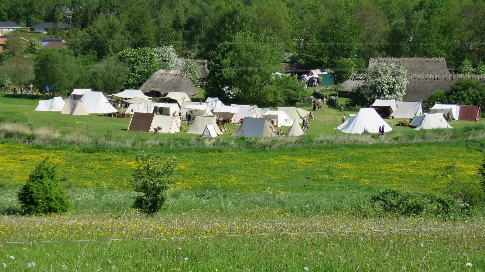 Jernalderlandsbyen Odins Odense