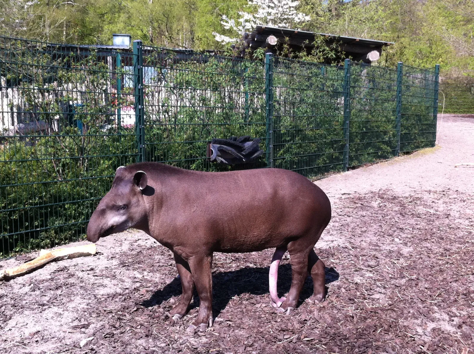 Aalborg Zoo