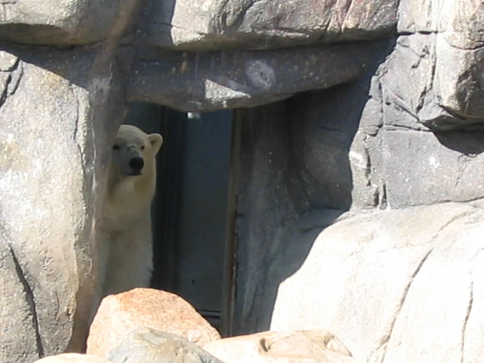 Aalborg Zoo