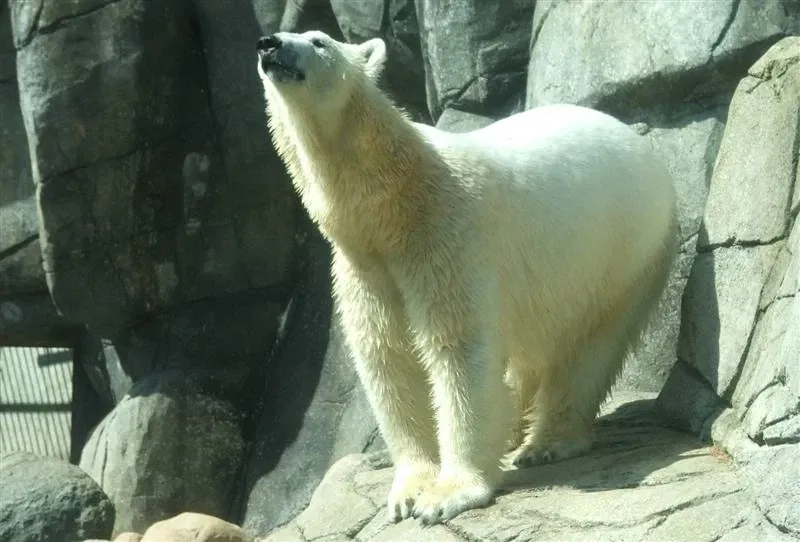 Aalborg Zoo