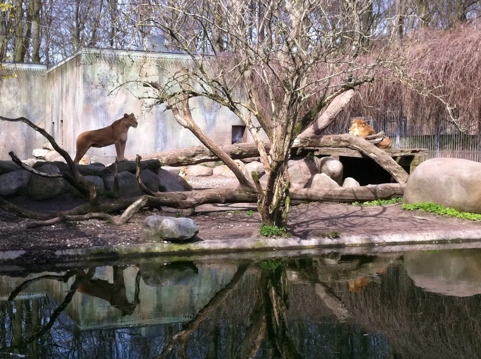 Aalborg Zoo