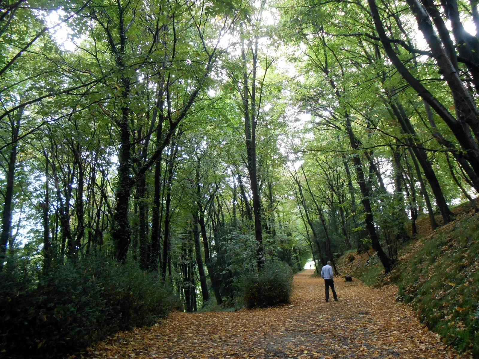 Museo di Villa Cagnola