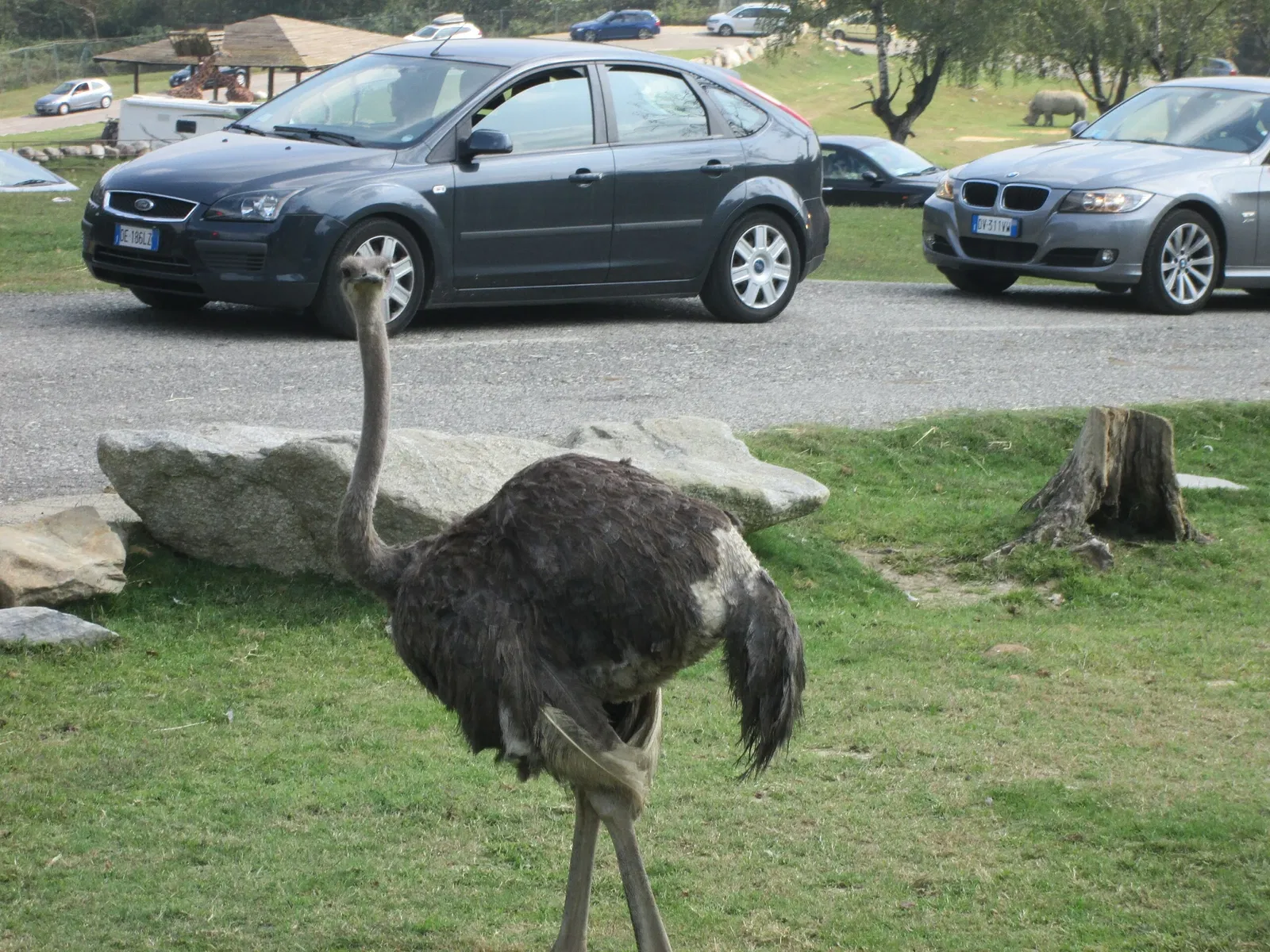 Pombia Safari Park